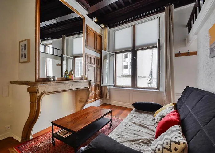 Le Cocon Des Deux Sirenes - Studio Cosy Pour 2 A Nancy