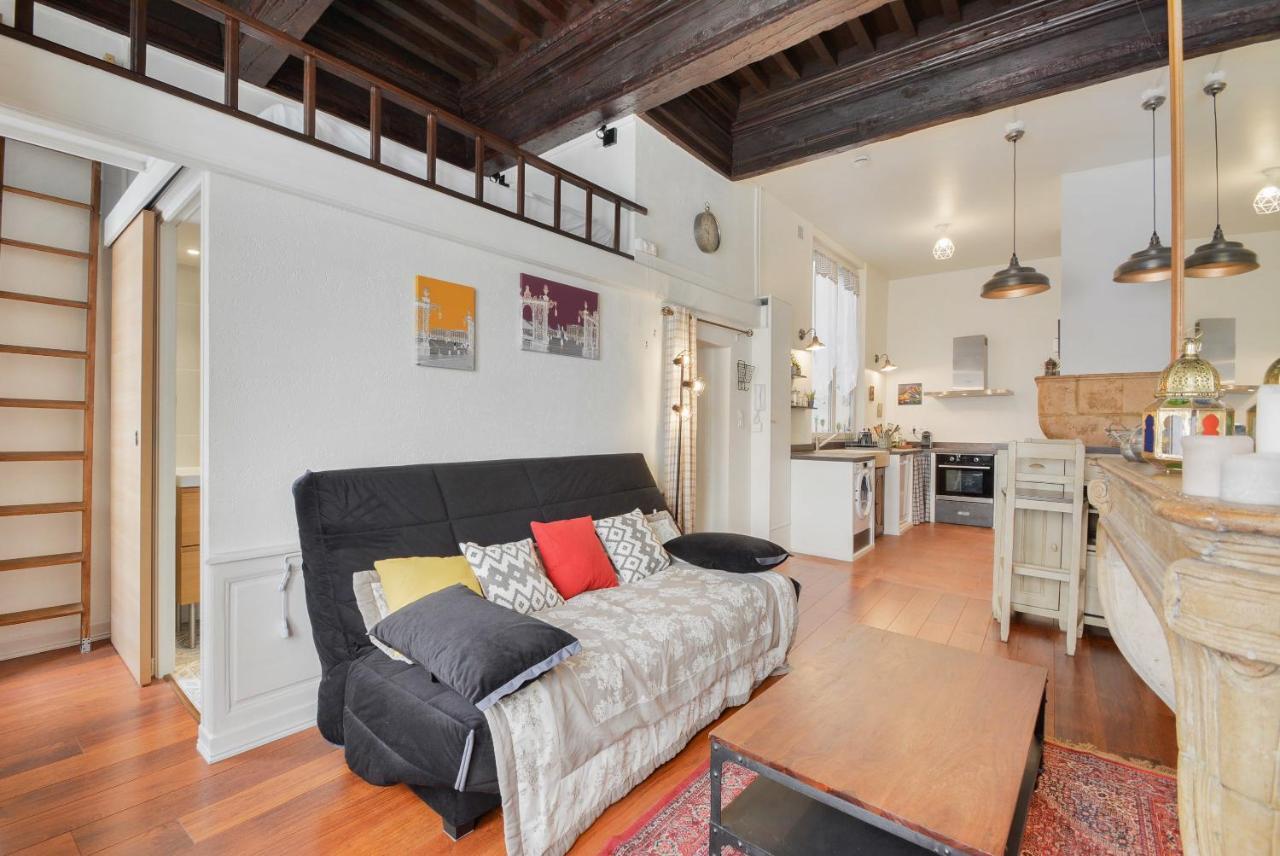 Appartement Le Cocon Des Deux Sirenes - Cosy Pour 2 A Nancy
